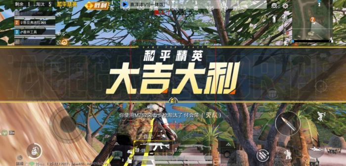 和平精英神王辅助怎么开（和平精英辅助中心怎么开）